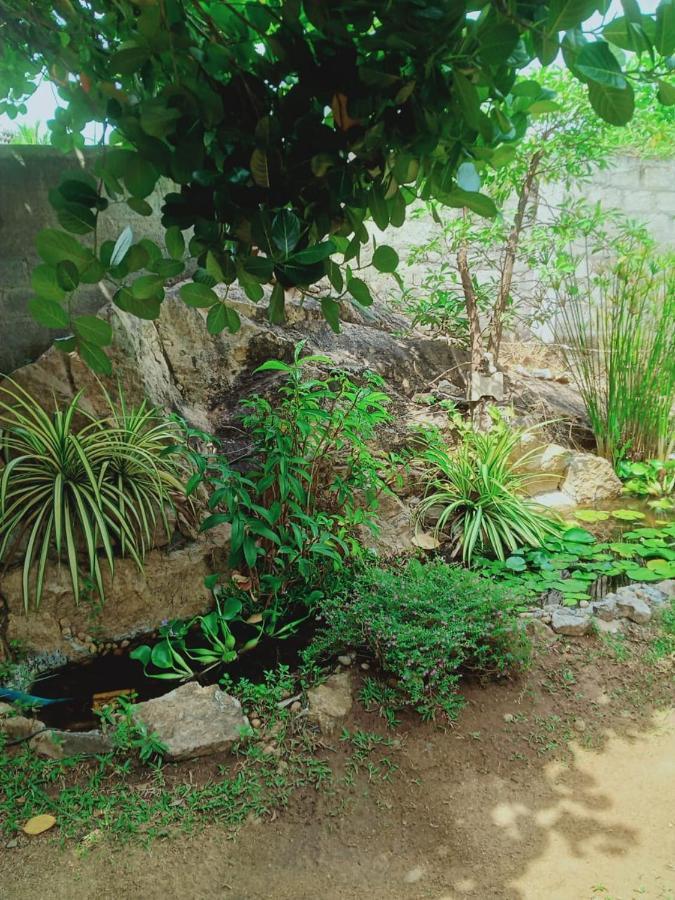 Sidhangana Home Stay 阿努拉德普勒 外观 照片