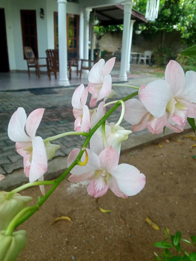 Sidhangana Home Stay 阿努拉德普勒 外观 照片