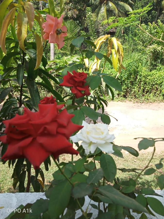 Sidhangana Home Stay 阿努拉德普勒 外观 照片