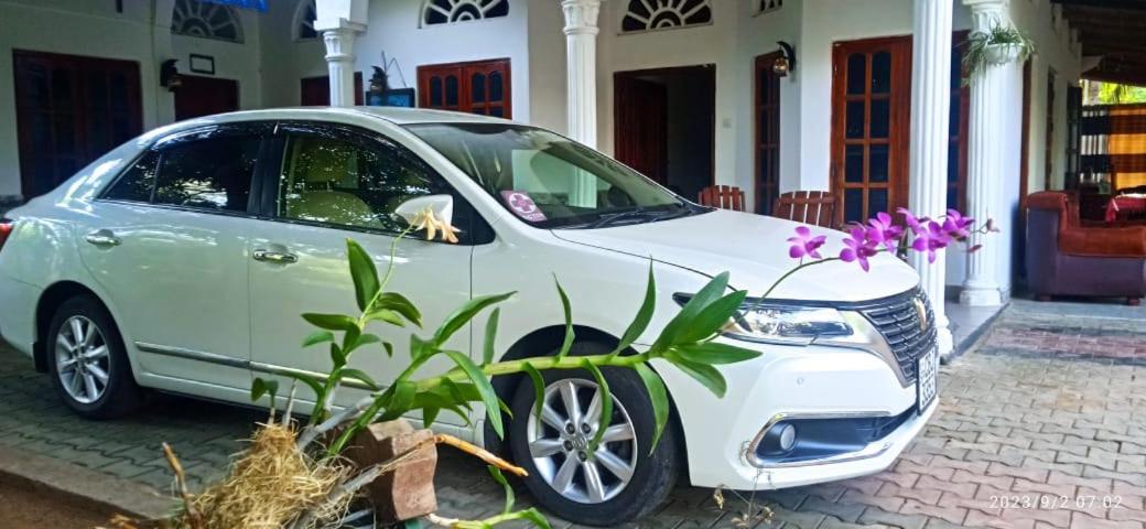 Sidhangana Home Stay 阿努拉德普勒 外观 照片