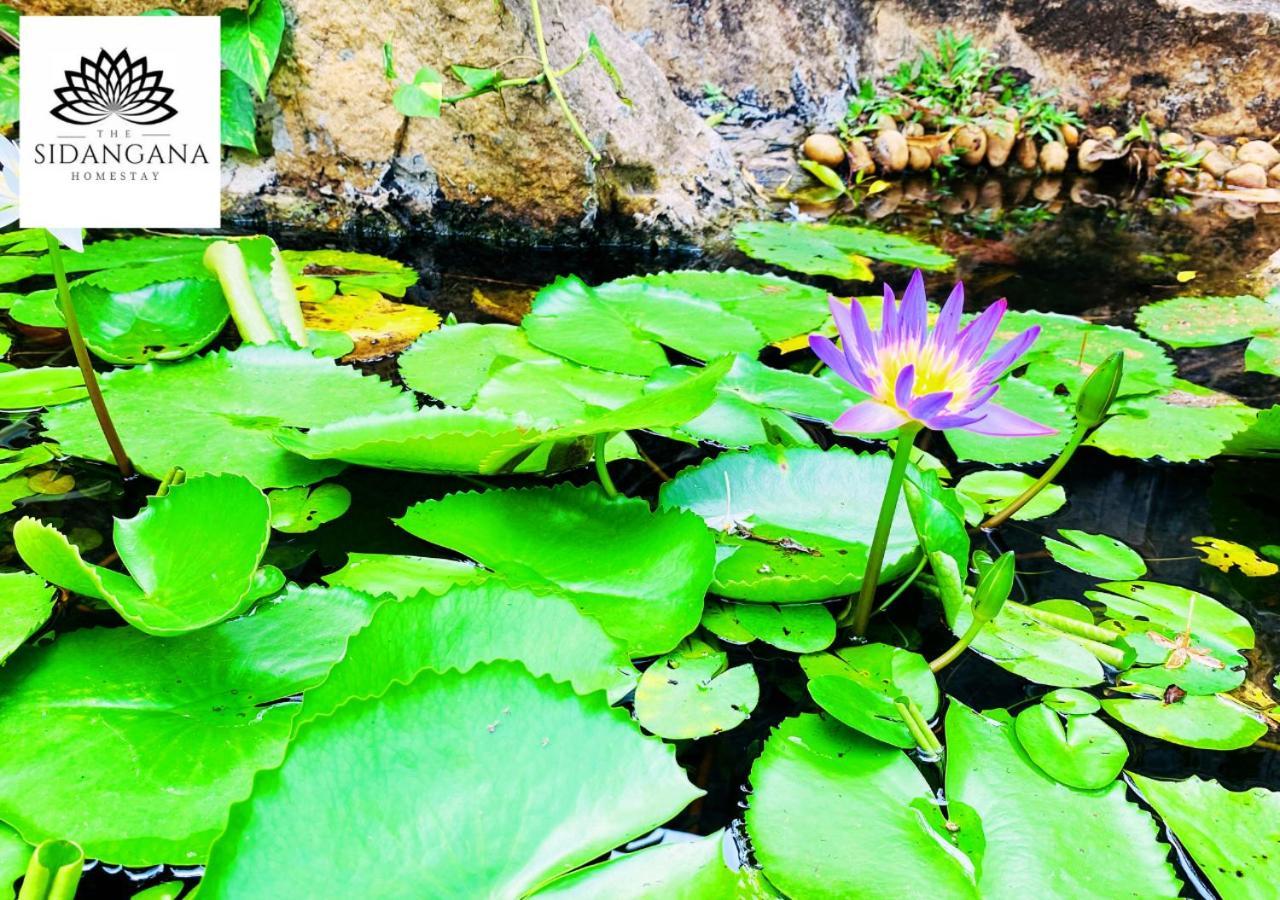 Sidhangana Home Stay 阿努拉德普勒 外观 照片