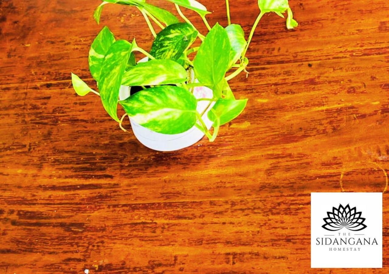 Sidhangana Home Stay 阿努拉德普勒 外观 照片